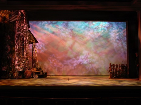 "The Trip to Bountiful"
Goodman Theatre "The Trip to Bountiful"
Goodman Theatre